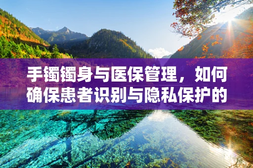 手镯镯身与医保管理，如何确保患者识别与隐私保护的平衡？