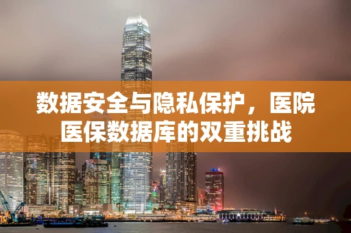 数据安全与隐私保护，医院医保数据库的双重挑战