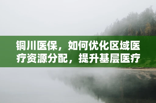 铜川医保，如何优化区域医疗资源分配，提升基层医疗服务质量？