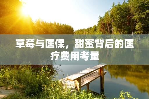 草莓与医保，甜蜜背后的医疗费用考量