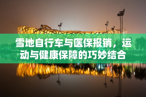 雪地自行车与医保报销，运动与健康保障的巧妙结合
