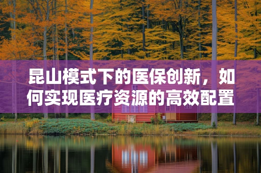 昆山模式下的医保创新，如何实现医疗资源的高效配置与患者福利最大化？