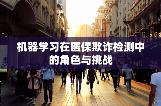 机器学习在医保欺诈检测中的角色与挑战