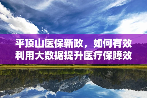 平顶山医保新政，如何有效利用大数据提升医疗保障效率？