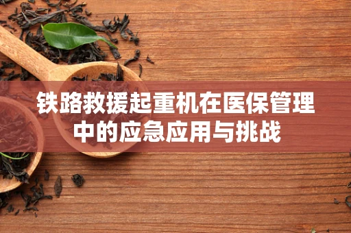 铁路救援起重机在医保管理中的应急应用与挑战