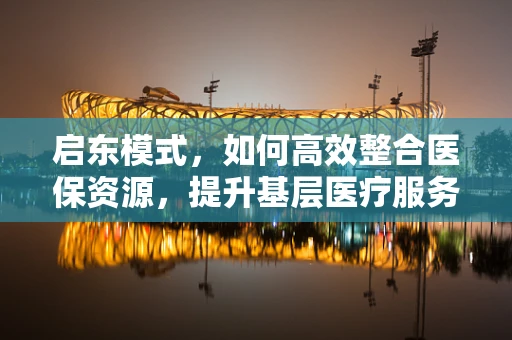 启东模式，如何高效整合医保资源，提升基层医疗服务质量？