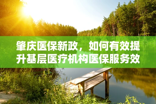 肇庆医保新政，如何有效提升基层医疗机构医保服务效率？
