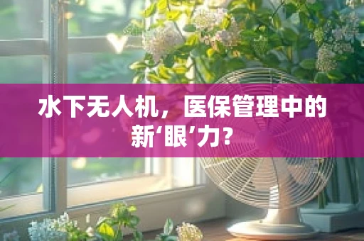 水下无人机，医保管理中的新‘眼’力？