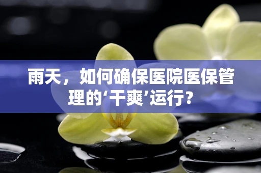 雨天，如何确保医院医保管理的‘干爽’运行？
