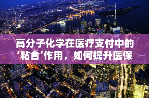 高分子化学在医疗支付中的‘粘合’作用，如何提升医保管理的效率与安全性？