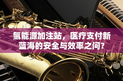氢能源加注站，医疗支付新蓝海的安全与效率之问？