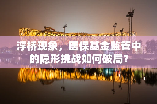 浮桥现象，医保基金监管中的隐形挑战如何破局？