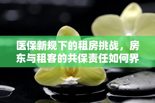 医保新规下的租房挑战，房东与租客的共保责任如何界定？