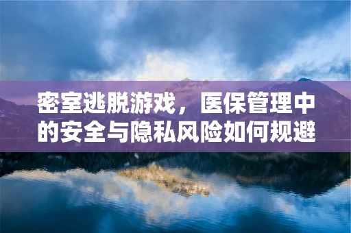 密室逃脱游戏，医保管理中的安全与隐私风险如何规避？