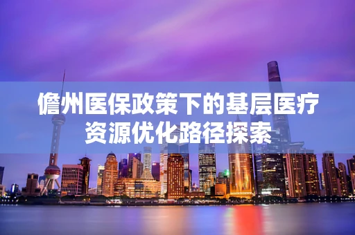 儋州医保政策下的基层医疗资源优化路径探索