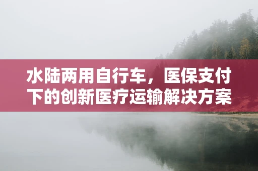 水陆两用自行车，医保支付下的创新医疗运输解决方案？