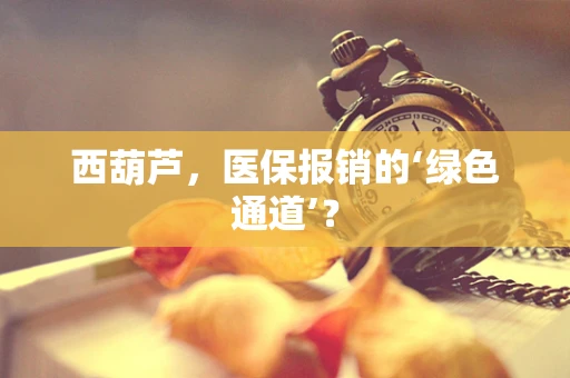 西葫芦，医保报销的‘绿色通道’？