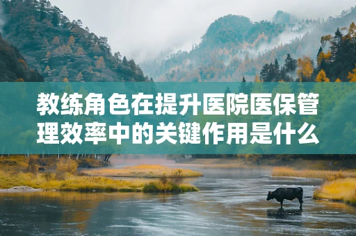 教练角色在提升医院医保管理效率中的关键作用是什么？