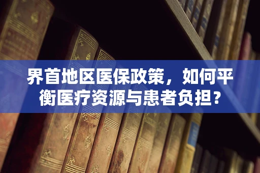 界首地区医保政策，如何平衡医疗资源与患者负担？