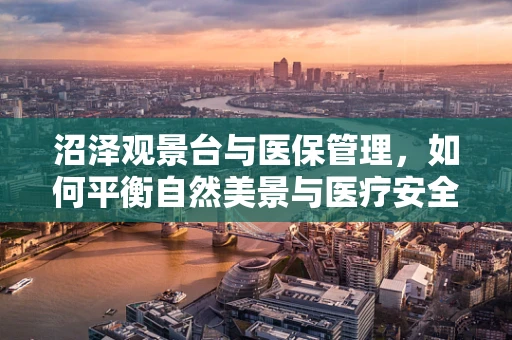 沼泽观景台与医保管理，如何平衡自然美景与医疗安全？