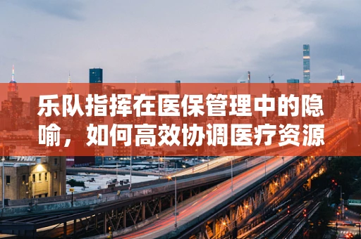 乐队指挥在医保管理中的隐喻，如何高效协调医疗资源‘演奏’？