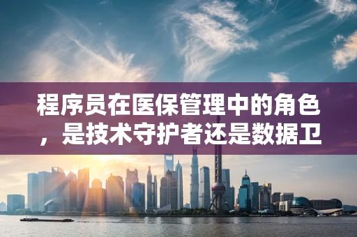 程序员在医保管理中的角色，是技术守护者还是数据卫士？