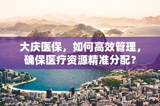大庆医保，如何高效管理，确保医疗资源精准分配？