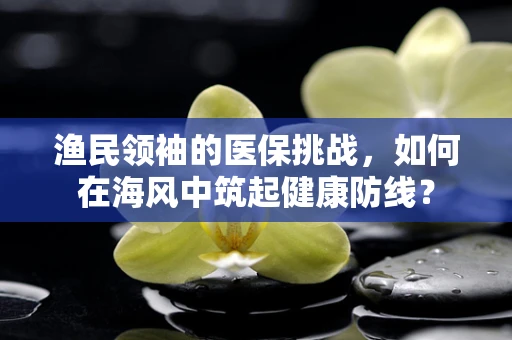 渔民领袖的医保挑战，如何在海风中筑起健康防线？