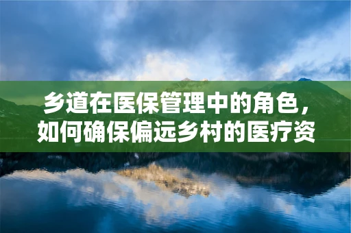 乡道在医保管理中的角色，如何确保偏远乡村的医疗资源畅通无阻？