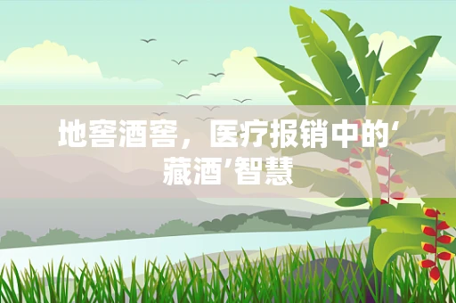 地窖酒窖，医疗报销中的‘藏酒’智慧