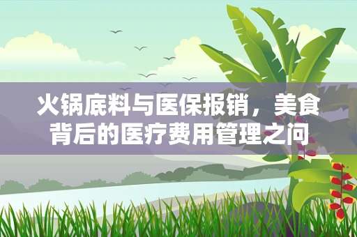 火锅底料与医保报销，美食背后的医疗费用管理之问