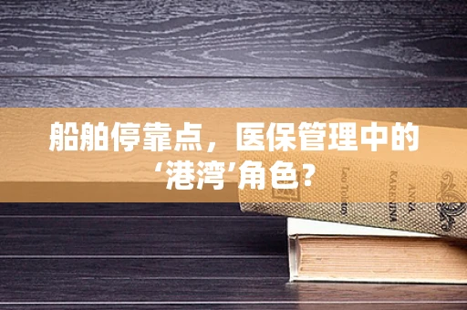 船舶停靠点，医保管理中的‘港湾’角色？