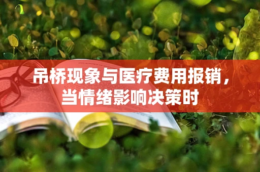 吊桥现象与医疗费用报销，当情绪影响决策时