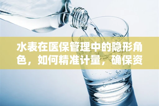 水表在医保管理中的隐形角色，如何精准计量，确保资金安全？