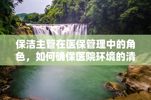 保洁主管在医保管理中的角色，如何确保医院环境的清洁与安全？