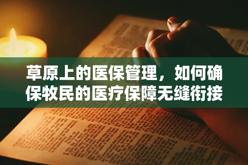 草原上的医保管理，如何确保牧民的医疗保障无缝衔接？