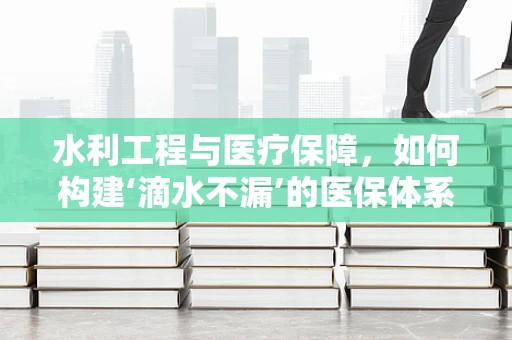水利工程与医疗保障，如何构建‘滴水不漏’的医保体系？