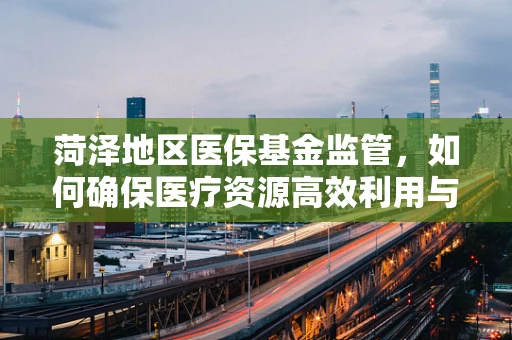 菏泽地区医保基金监管，如何确保医疗资源高效利用与公平性？