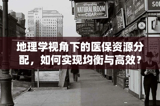 地理学视角下的医保资源分配，如何实现均衡与高效？