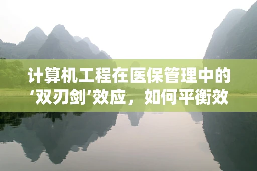 计算机工程在医保管理中的‘双刃剑’效应，如何平衡效率与安全？