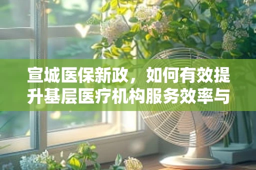 宣城医保新政，如何有效提升基层医疗机构服务效率与患者满意度？