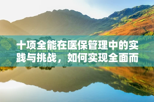 十项全能在医保管理中的实践与挑战，如何实现全面而精准的医疗费用控制？