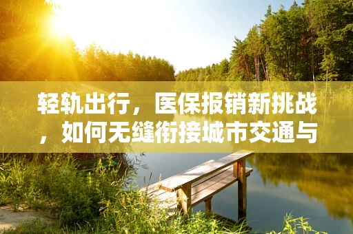 轻轨出行，医保报销新挑战，如何无缝衔接城市交通与医疗保障？