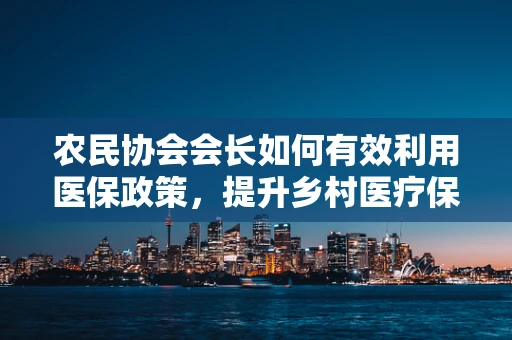 农民协会会长如何有效利用医保政策，提升乡村医疗保障水平？