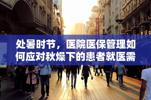 处暑时节，医院医保管理如何应对秋燥下的患者就医需求？