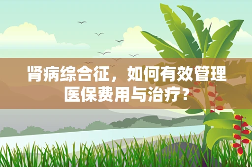 肾病综合征，如何有效管理医保费用与治疗？