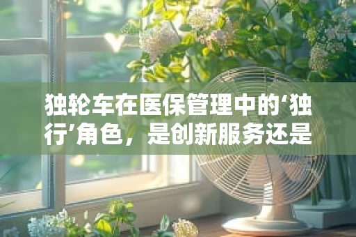 独轮车在医保管理中的‘独行’角色，是创新服务还是管理盲区？