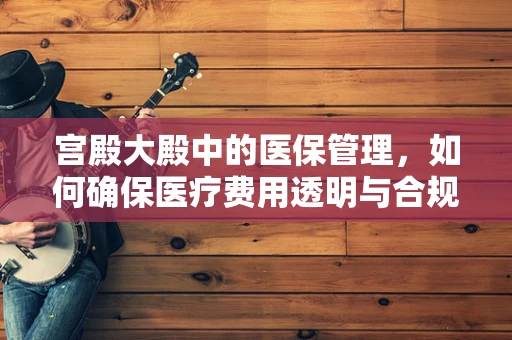 宫殿大殿中的医保管理，如何确保医疗费用透明与合规？