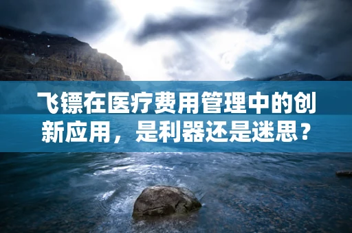 飞镖在医疗费用管理中的创新应用，是利器还是迷思？