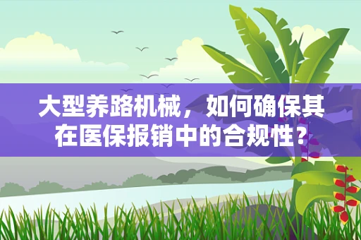 大型养路机械，如何确保其在医保报销中的合规性？